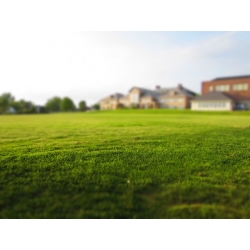 Przepis na zdrowy, zielony trawnik w 5 prostych krokach